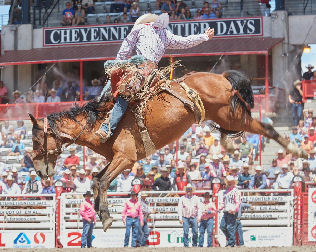 Taking the Kids: To the World’s Biggest Outdoor Rodeo and Western Celebration