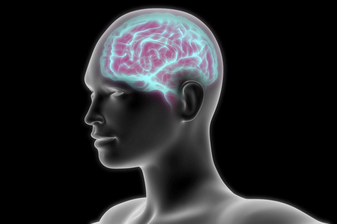 Smoking Shrinks the Brain, and Quitting Doesn’t Restore Size: Study