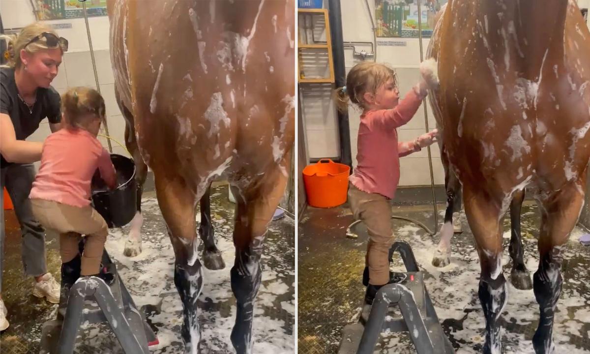 Screenshot of the toddler helping clean a horse. (Screenshot/Viralhog)