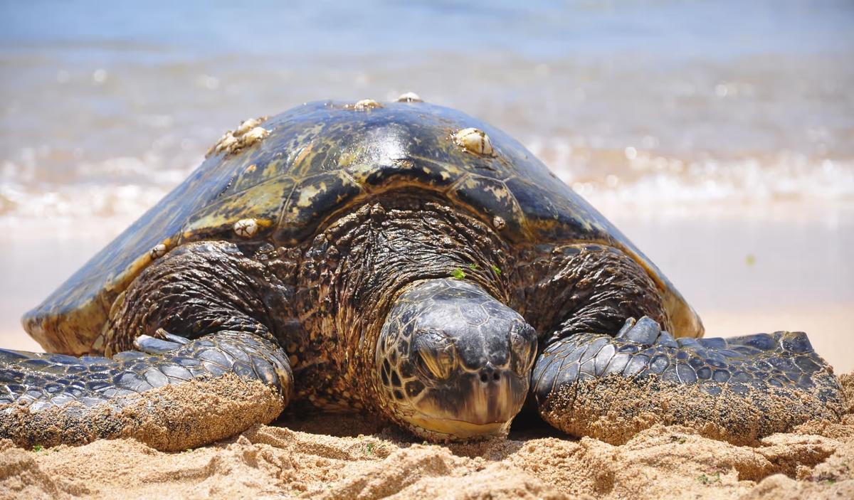 America’s Prolonged Economic Stagflation