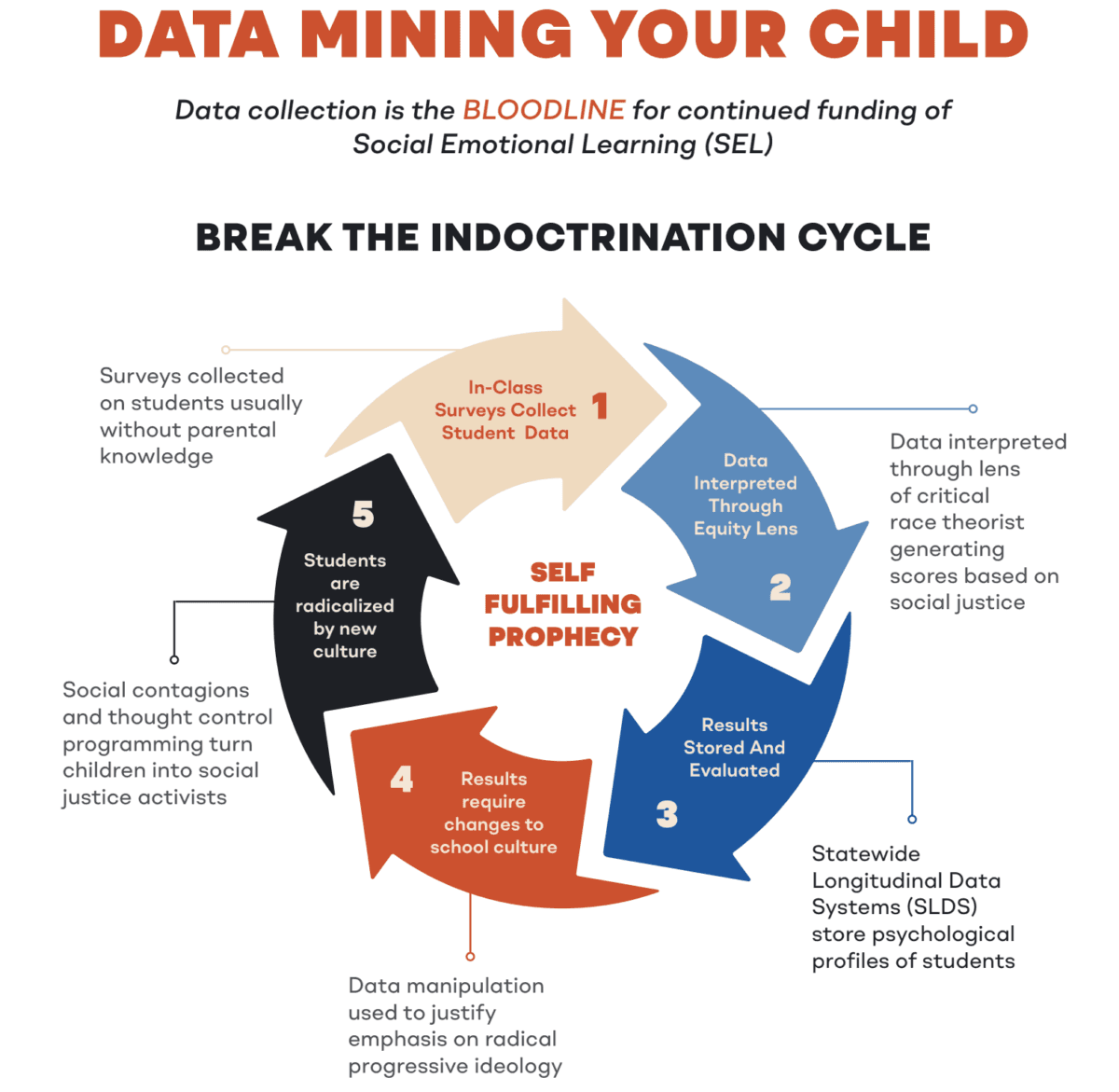 K–12 data collection cycle of indoctrination. (Courtesy of Courage is a Habit)
