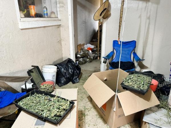 The Merced County Sheriff’s Department in California discovered several illegal immigrants who are human trafficking victims living in “horrible” conditions and working as apparent indentured laborers at an illegal marijuana grow operation in Merced on July 26, 2023. (Courtesy of Merced County Sheriff’s Department)