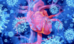 La miocarditis causada por la proteína del pico de la vacuna COVID-19 a menudo no se detecta en las pruebas cardíacas típicas