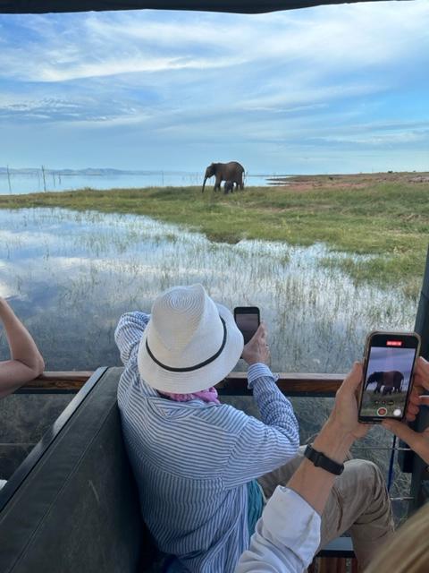 A tourist taking photos of an elephant in Matusadona National Park, Zimbabwe. (Janna Graber)