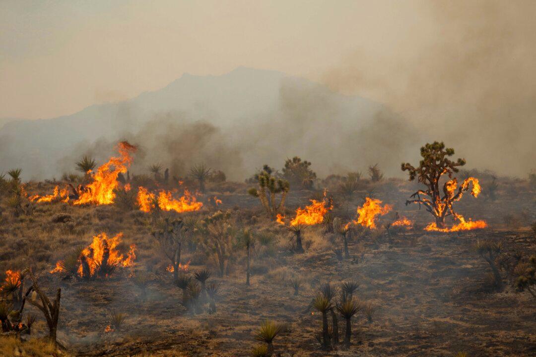 Newsom Declares State of Emergency as Wildfires Rage in 2 Northern California Counties