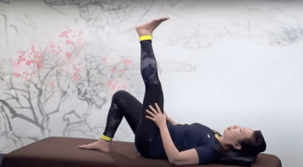 ("Traditional Chinese Medicine: Past and Present" program)