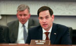 Sen. Rubio Pushes for Transparency in China-Backed Shein IPO Amid Risk Concerns