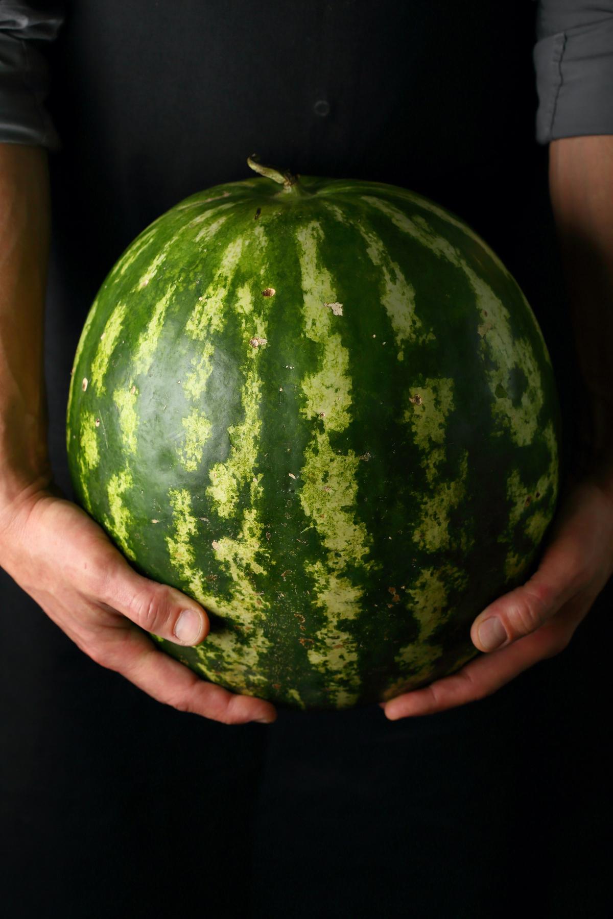 A juicy watermelon should feel very heavy for its size—it will feel heavier than it looks. (Afanasieva/Shutterstock)