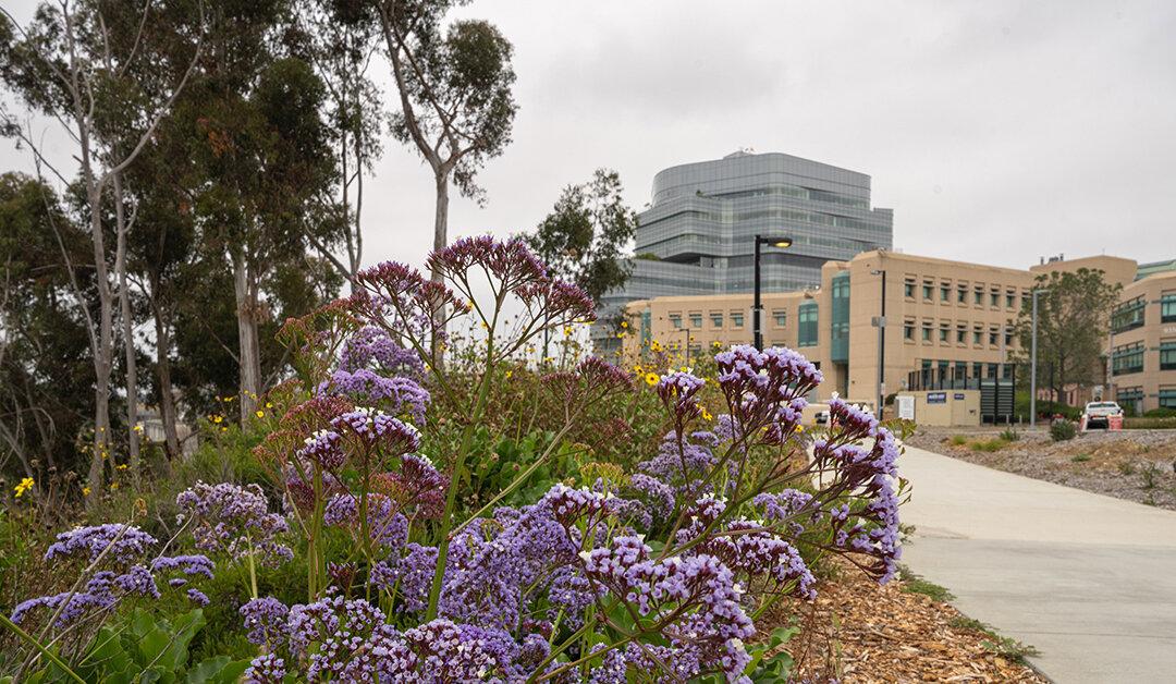 Boy Born in San Diego on Jan. 1 Continues Family’s Holiday Tradition