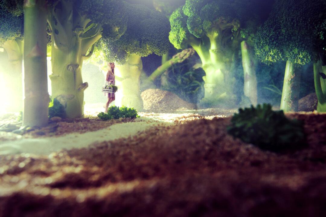 Finding Peace and Prosperity With Permaculture