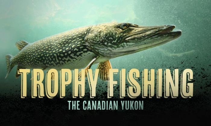 Trophy Fishing in the Canadian Yukon