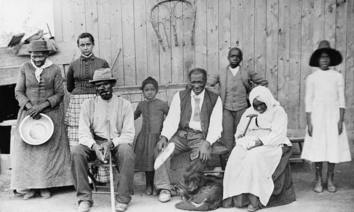 Recalling the Testimony of Freed Slaves in Canada: ‘Liberty I Find to Be Sweet Indeed’