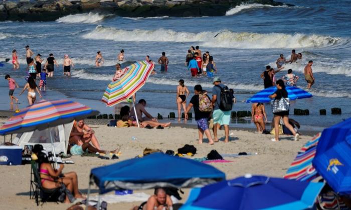 Woman Critically Injured by Rare Shark Bite Off NYC’s Rockaway Beach