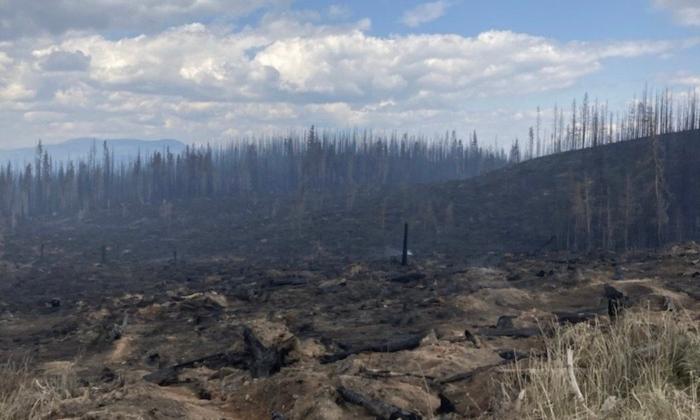 BC Wildfires: Frustrated Shuswap Residents Try to Save Homes, but Authorities Favour Evacuation