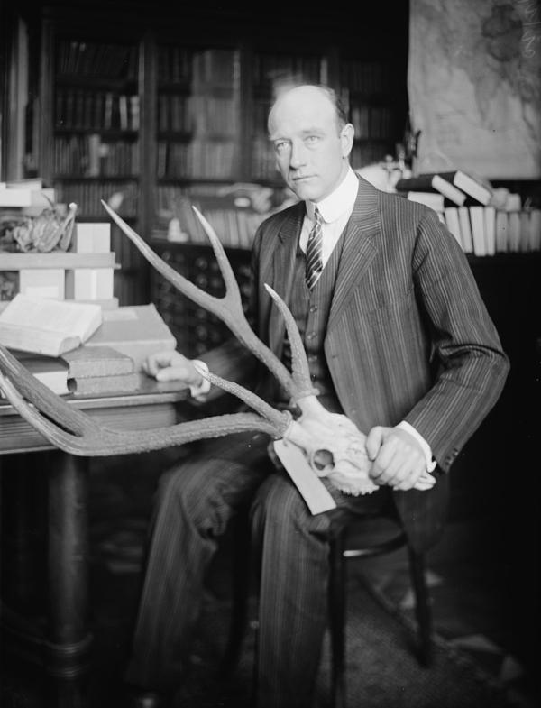 Explorer Roy Chapman Andrews holding the skull of a deer. Library of Congress. (Public Domain)