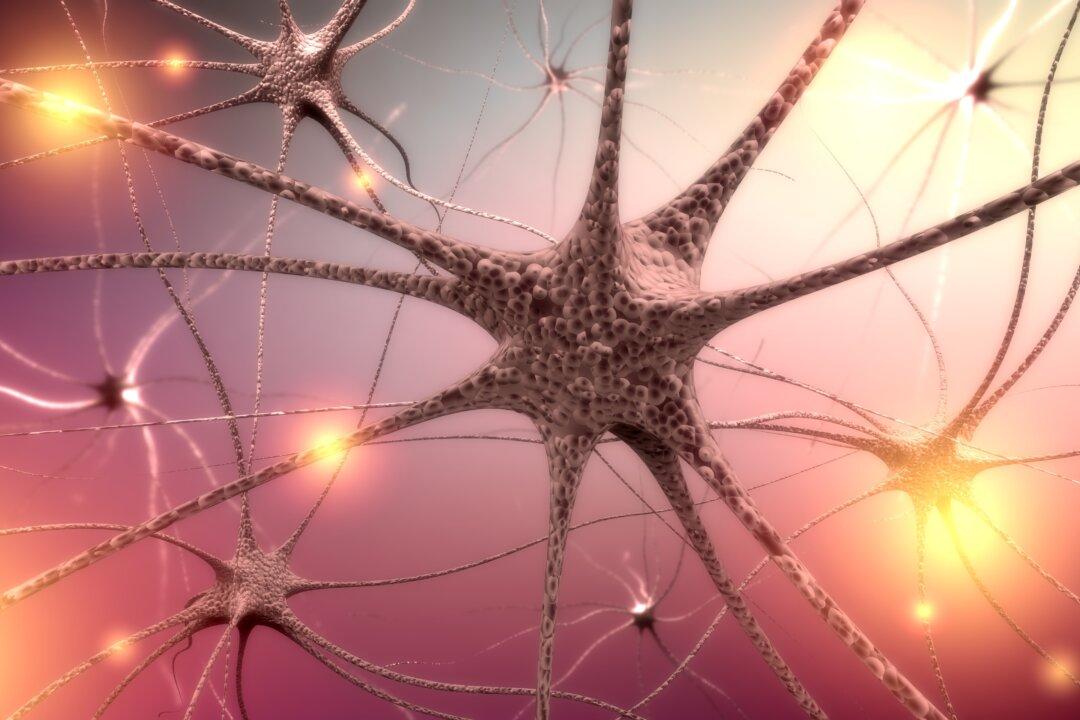 COVID-19 Vagus Nerve Inflammation May Lead to Dysautonomia: New Study