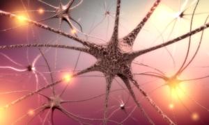 COVID-19 Vagus Nerve Inflammation May Lead to Dysautonomia: New Study