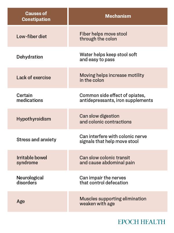 Causes of Constipation. (The Epoch Times)
