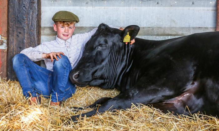 11-Year-Old Boy With Autism Rents His Own Land, Breeds Sheep, and Has Taught Himself to Spin Wool