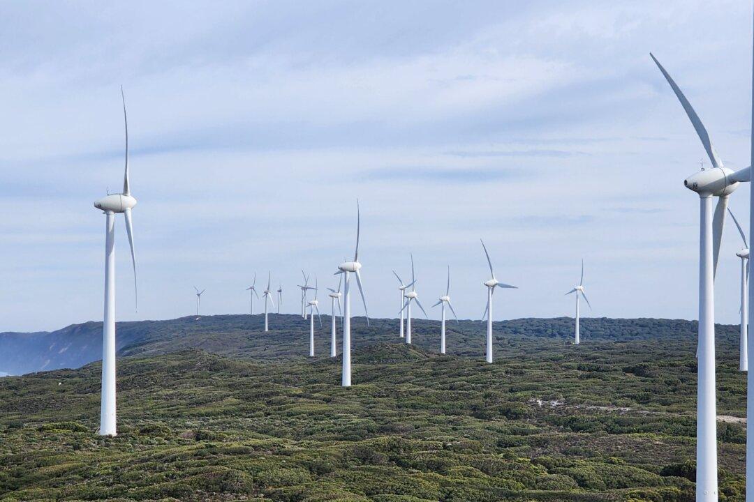 ‘We Are in a Climate Crisis’: First Gen Z MP Elected to the Australian Capital Territory
