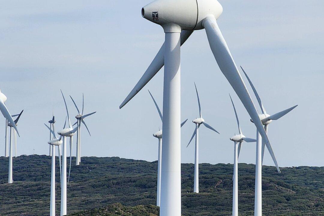 Federal MP ‘Disappointed’ With WA Liberal Leader’s Net Zero Rebuff