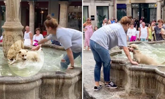 Hilarious Video Captures Woman Struggling to Catch Her Dog Frolicking in Public Fountain on a Hot Day