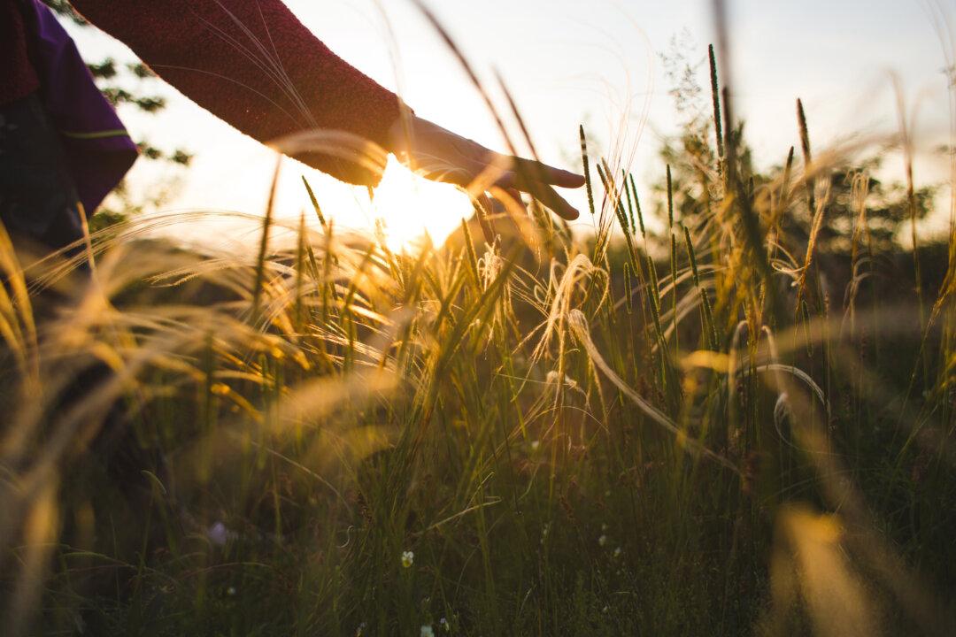 Your Connection to Nature