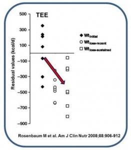 Long-term persistence of adaptive thermogenesis in subjects who have maintained a reduced body weight by Dr. Rosenbaum et al.