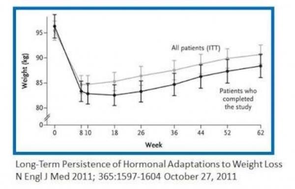 (New England Journal of Medicine)