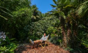 Dad of 3 Spends 35 Years Nurturing His ‘Jungle’ Back Garden: ‘It’s a Very Tropical Atmosphere’