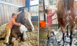 Heartwarming Video Captures Adorable 2-Year-Old With Tiny Stepladder Giving a Horse a Bath