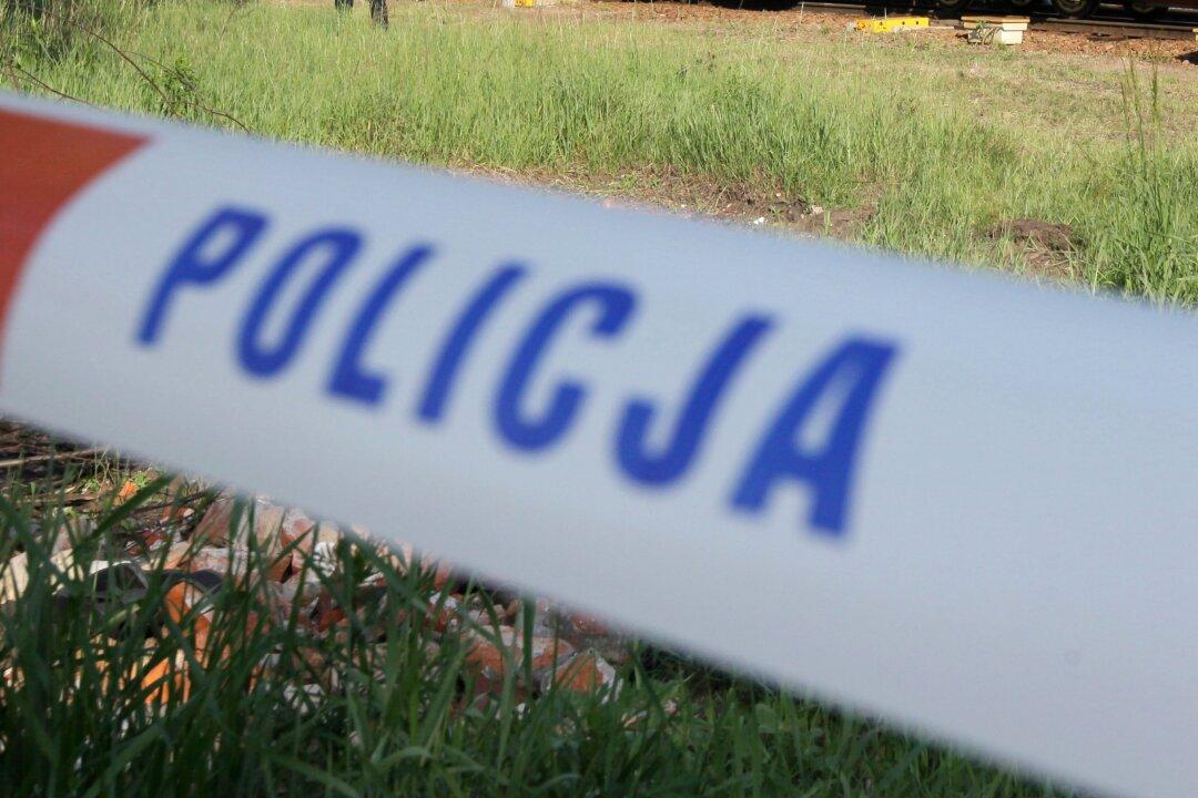 Local Train Hits Truck at Crossing in Central Poland, Injuring 22 People