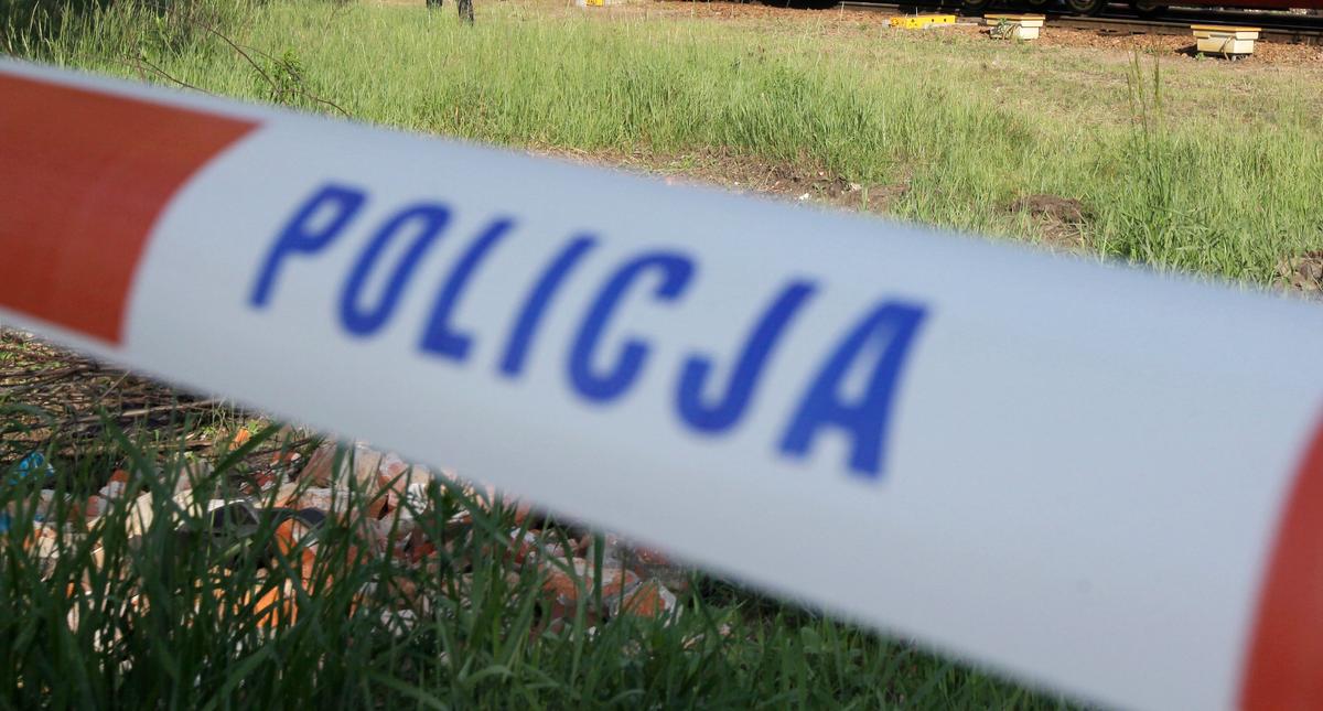 Local Train Hits Truck at Crossing in Central Poland, Injuring 22 People