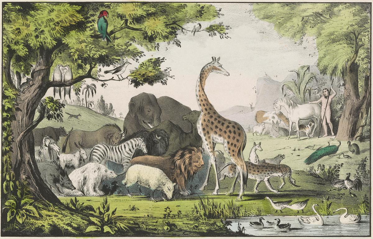"Adam Naming the Creatures," 1847, by N. Currier. Hand-colored lithograph. Library of Congress. (Public Domain)