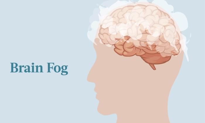 The Essential Guide to Brain Fog: Symptoms, Causes, Treatments, and Natural Approaches