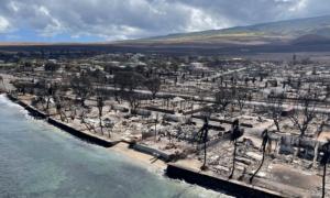 Hawaii Utility Companies Accused in Lawsuit of Ignoring Warnings Before Maui Wildfires