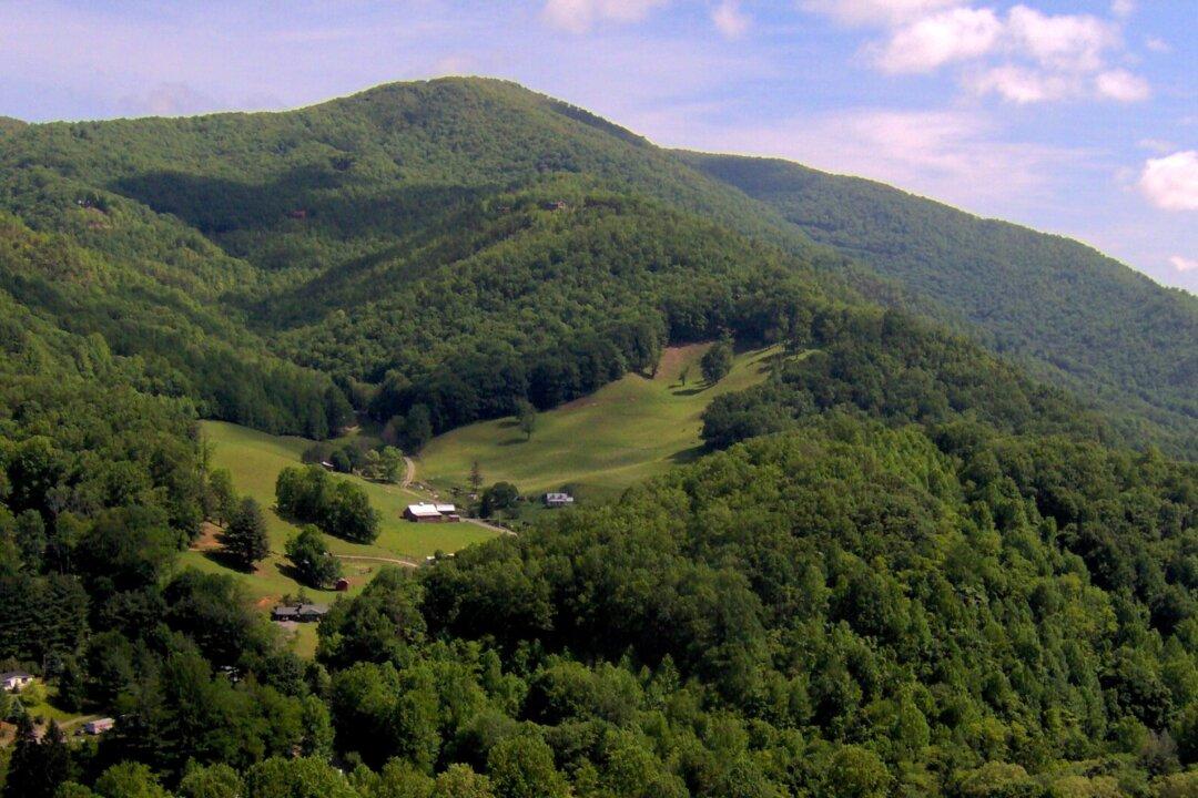 ‘Counting Souls’: Census Taking in Old Appalachia