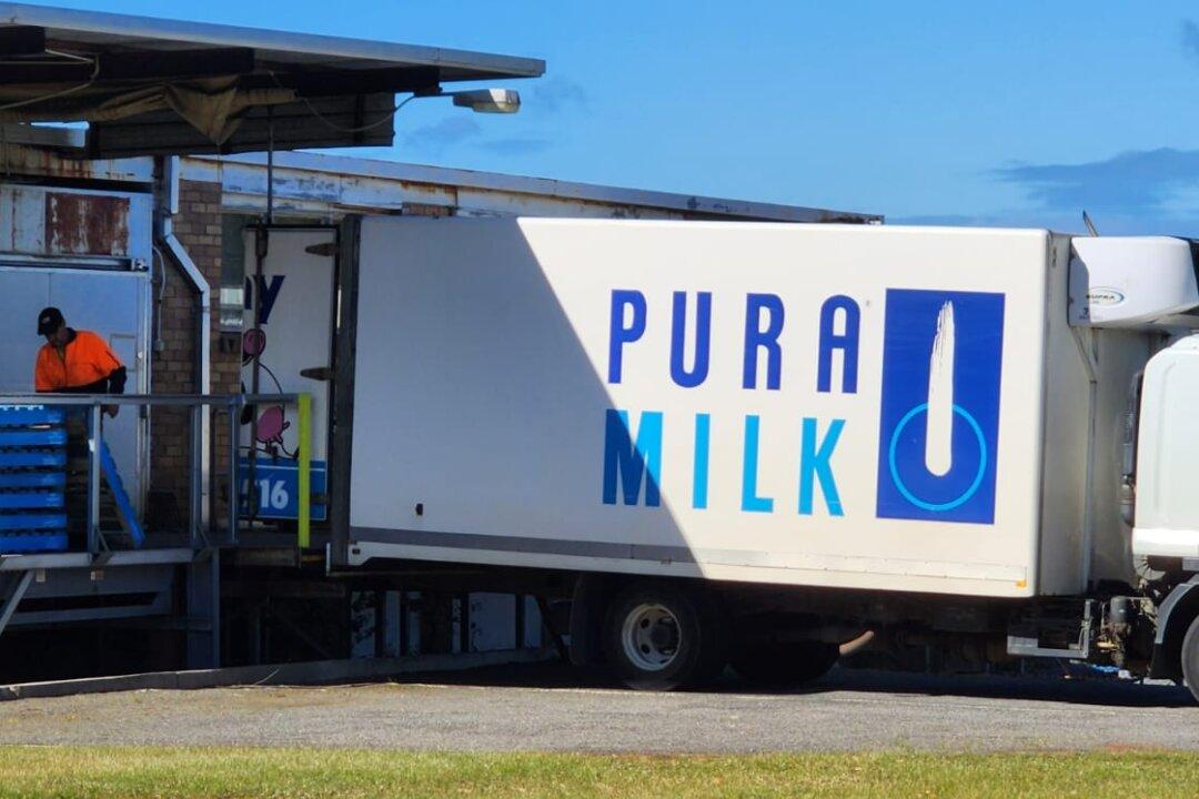 Cutting Back Water Rights Could Lead to Higher Milk Prices, Farmers Warn