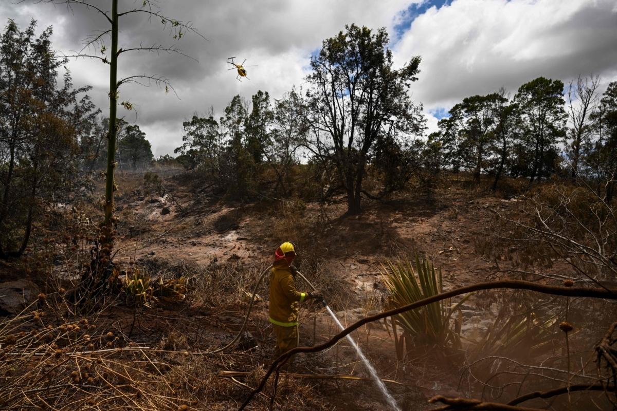 A firefighting helicopter makes a water drop as a Maui County firefighter extinguishes a fire near homes during the Maui wildfires in Kula, Hawaii, on Aug. 13, 2023. (Patrick T. Fallon/AFP via Getty Images)