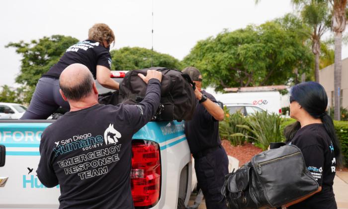 San Diego Humane Society’s Emergency Response Team Deploys To Maui