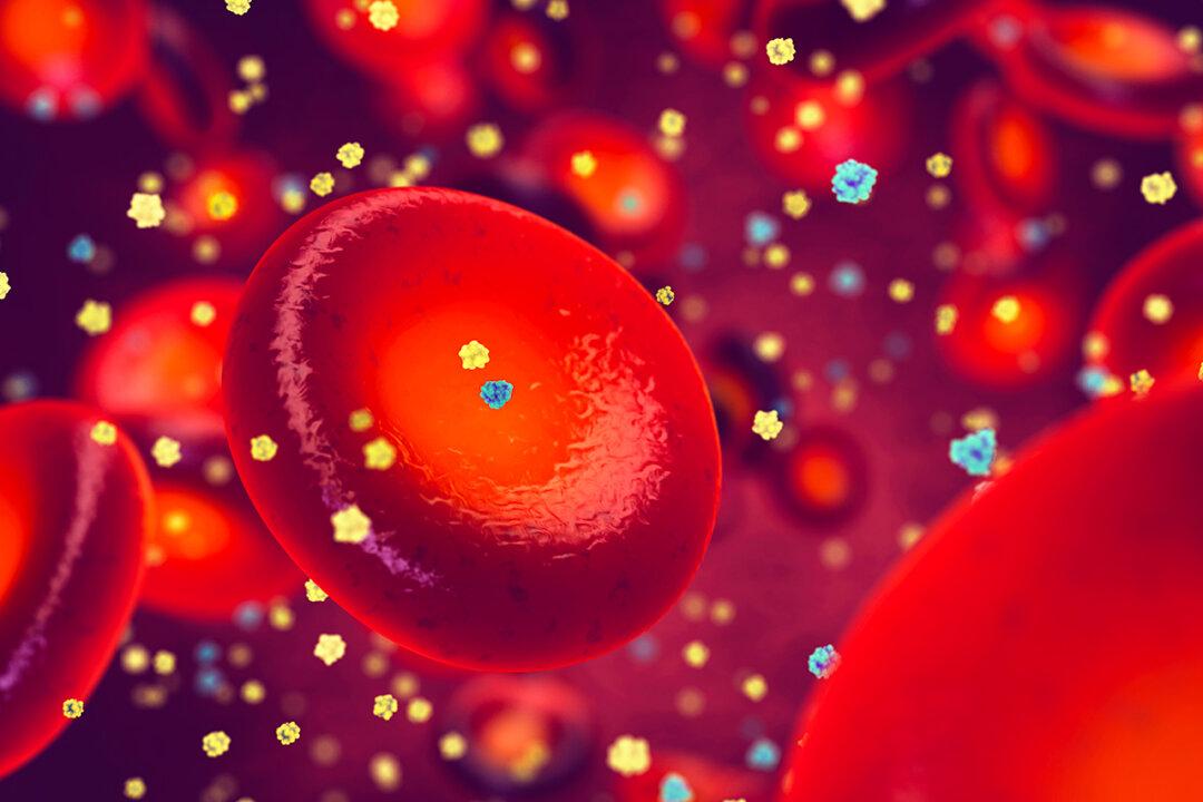 A Simple Sitting Exercise Helps Reduce Blood Sugar and Lipid Levels