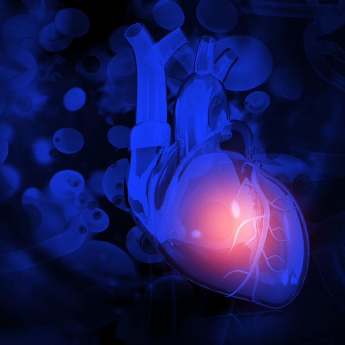 Doctors Reveal a ‘Main Culprit’ for Heart Disease