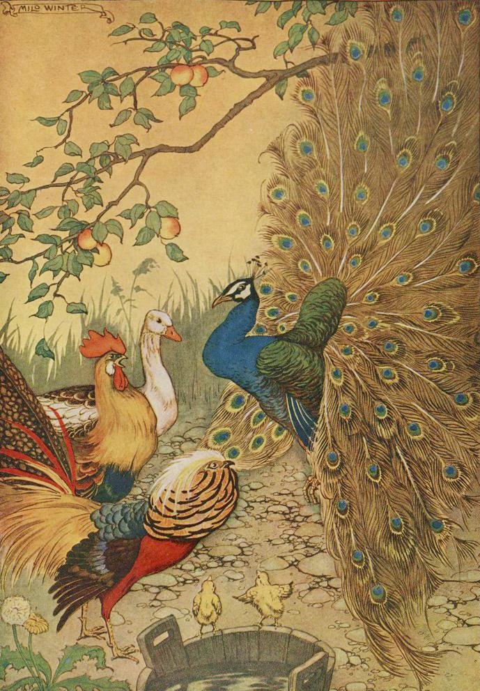 “The Peacock,” illustrated by Milo Winter, from “The Aesop for Children,” 1919. (PD-US)