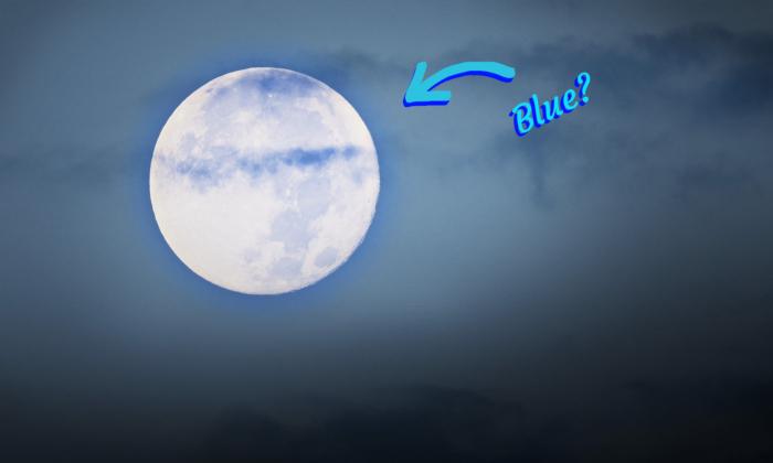 Super 'Blue Moon' to Rise Late August Also the Biggest Supermoon of the Year—Here's What to Know