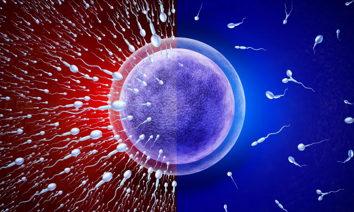 Wi-Fi, Other EMFs May Be Linked to Infertility and Miscarriage: Scientists