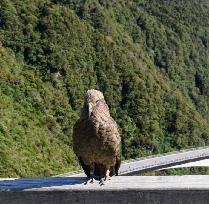 The Epoch Times