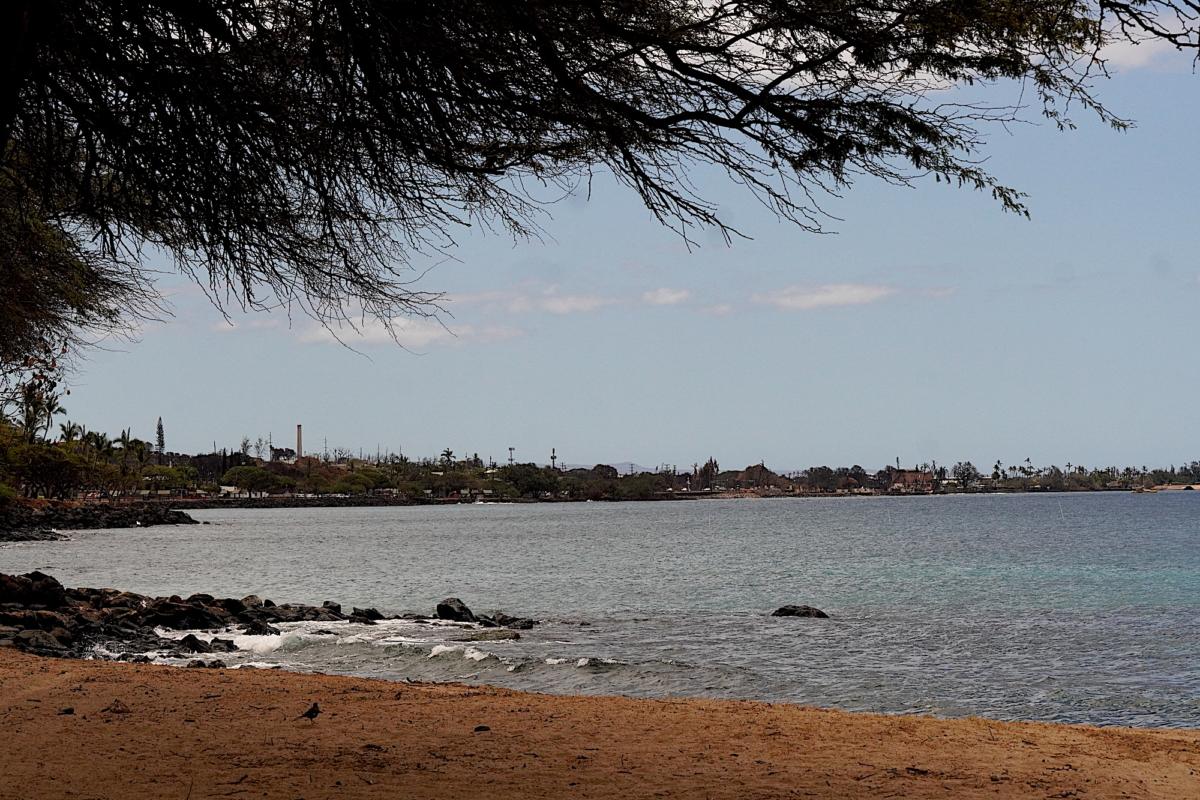 Lahaina Town as it appears from a distant beachfront on Aug. 16, 2023. (Allan Stein/The Epoch Times)