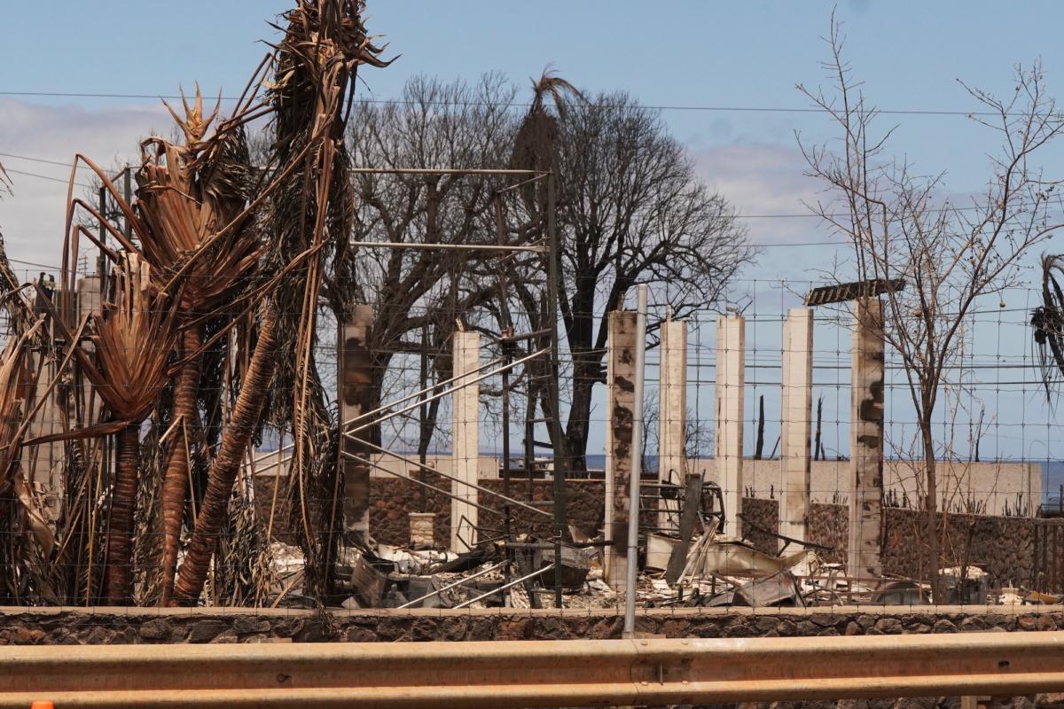 A part of Lahaina shows the damage caused by the wildfire. (Allan Stein/The Epoch Times)