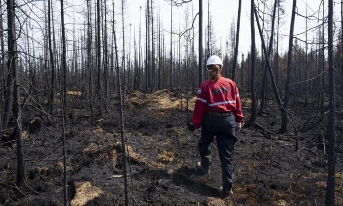 Hydro-Québec Workers, Vulnerable Cree Community Members Evacuated Due to Wildfires