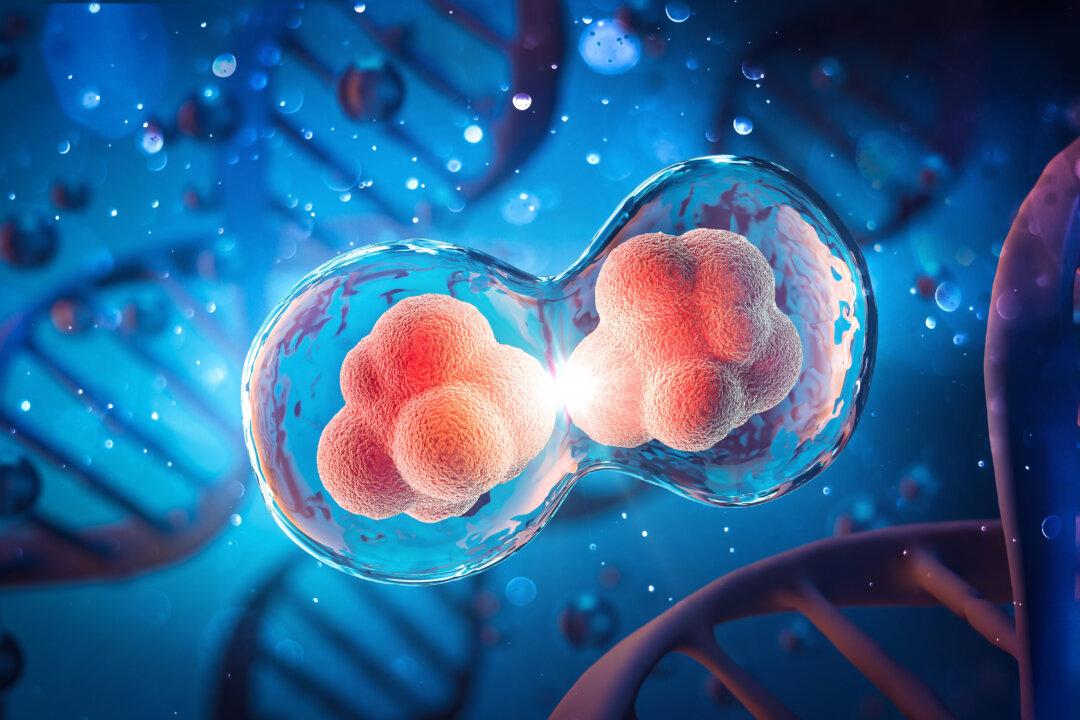 ‘Hope for Healthy Longevity’: Study Discovers Trigger for Cell Aging